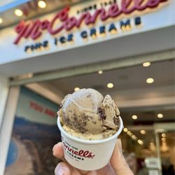 McConnell's Fine Ice Creams - Double Peanut Butter Chip and Salted Caramel Chip