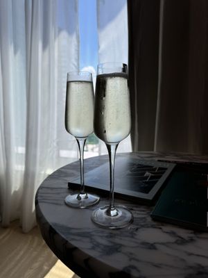 The Tampa EDITION by null The Tampa EDITION by null