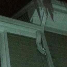 My DAMN house