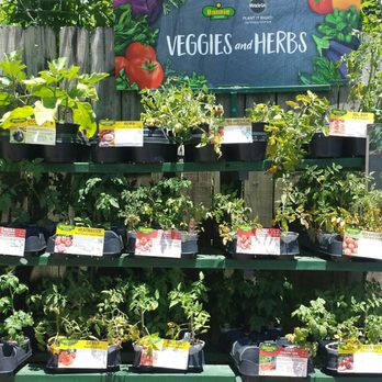 Banting's Nursery - Nurseries & Gardening Near Me - Bridge City, Louisiana Banting's Nursery - Nurseries & Gardening Near Me - Bridge City, Louisiana