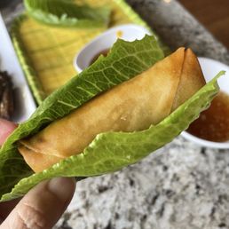 Spring Roll