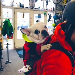 Recycled Cycles - Pup in backpack