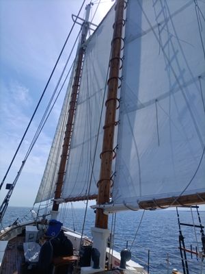 Liberty Fleet of Tall Ships Boston by null