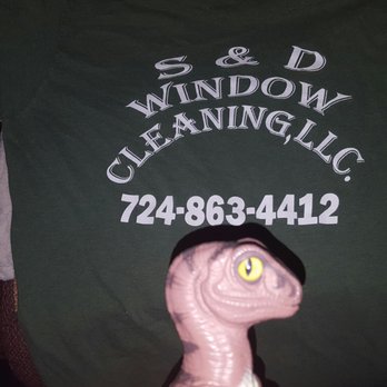 SD Window Cleaning - Bob the Raptor Says "If you want your windows nice and clean these are the mammals for the job." - Window Washing Near Me - North Huntingdon, Pennsylvania SD Window Cleaning - Bob the Raptor Says "If you want your windows nice and clean these are the mammals for the job." - Window Washing Near Me - North Huntingdon, Pennsylvania