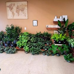 A Green House