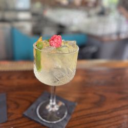 Trophy Fish - Fin & Tonic