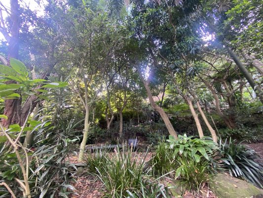 Wendy Whiteley's Secret Garden by null