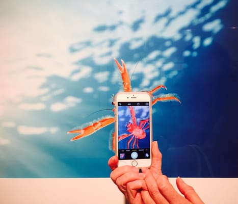 The Florida Museum of Photographic Arts by null