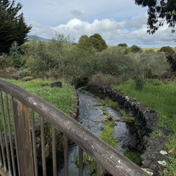 The Black Heron Inn - Bridge and stream on the property