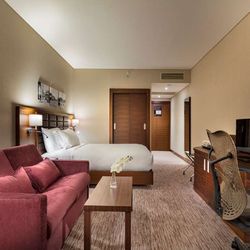 Hilton Garden Inn İzmir Bayraklı - Guest room