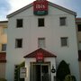 Photo of Ibis