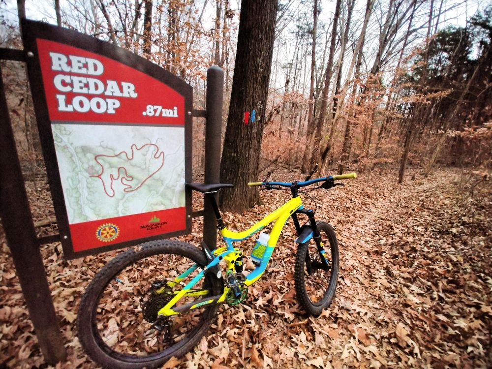 RIVERSIDE BICYCLE SHOP’S PARK OUTPOST 101 N Riverside Dr, Clarksville