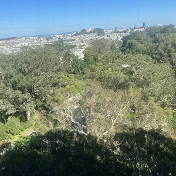 de Young Museum - Tower Views - Art Museums Near Me - San Francisco, California de Young Museum - Tower Views - Art Museums Near Me - San Francisco, California