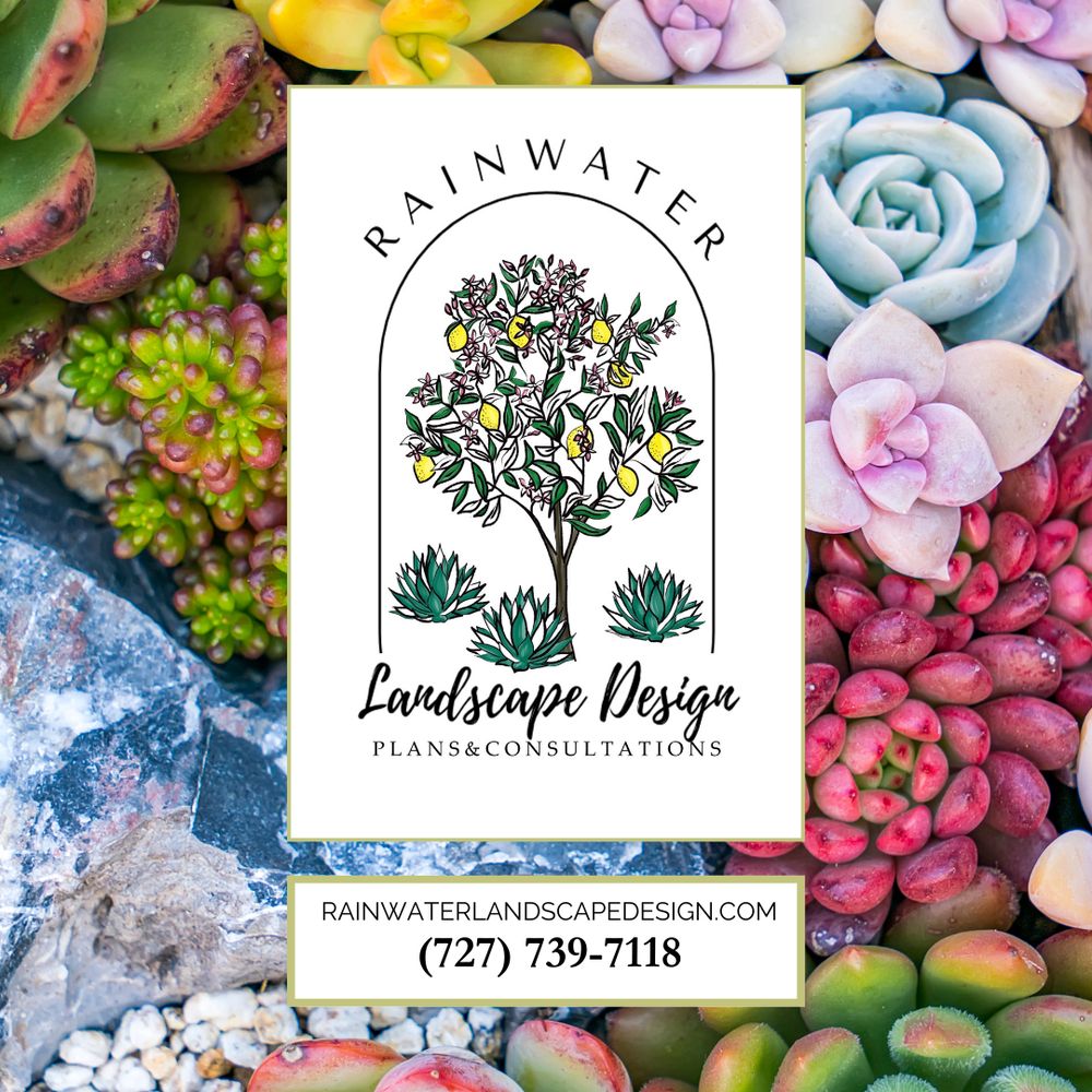 RAINWATER LANDSCAPE DESIGN Request a Quote New Port Richey, Florida