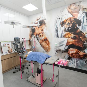 Paws Veterinary Clinic - Our beautiful surgery suite - Veterinarians Near Me - Delray Beach, Florida Paws Veterinary Clinic - Our beautiful surgery suite - Veterinarians Near Me - Delray Beach, Florida
