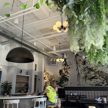 The Foxtail - Indoor - Breakfast & Brunch Near Me - Downers Grove, Illinois