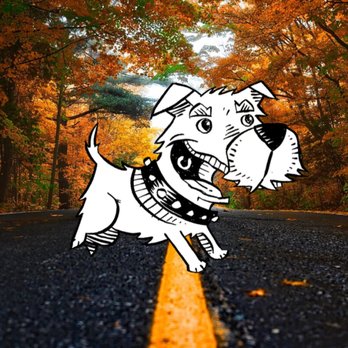 Laughing Dog Productions - Fall is coming! - Videographers Near Me Laughing Dog Productions - Fall is coming! - Videographers Near Me