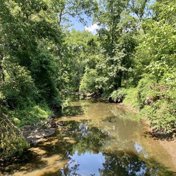 Dewey Local Park - Dog Parks Near Me - Silver Spring, Maryland