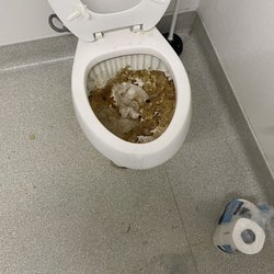 Dollar Tree - Gross