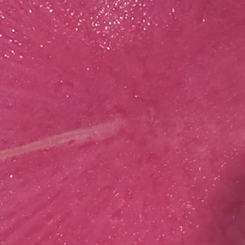 BBQ Stop - A close-up of the radish wrap - Korean Near Me - Diamond Bar, California