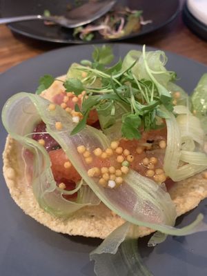 Ceviche Project by null Ceviche Project by null