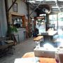 Photo of Bodhi Tree Cafe