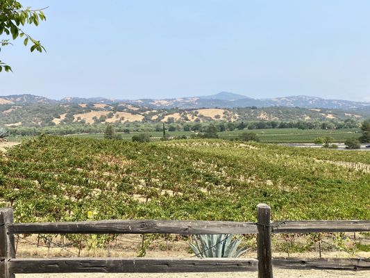 J. Rickards Winery by null