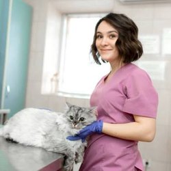Barfield Animal Hospital