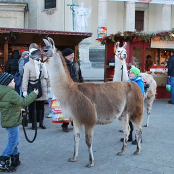 Adventmarkt Karlsplatz - Christmas Markets Near Me - Vienna, 9