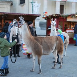 Adventmarkt Karlsplatz
