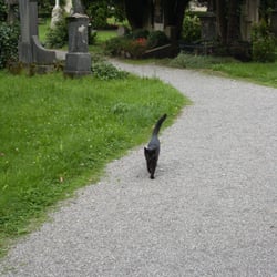 Alter Friedhof