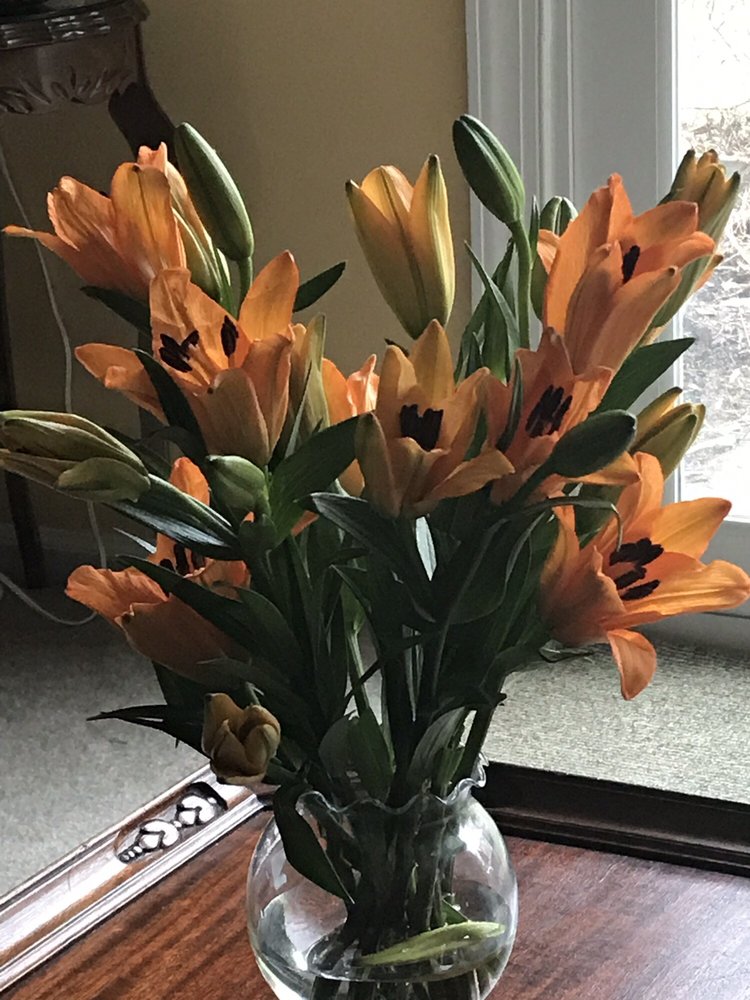 PRODUCE JUNCTION 27 Photos & 25 Reviews 2635 Chichester Ave, Upper