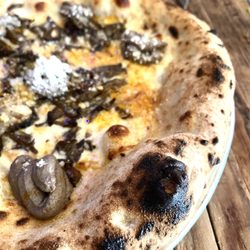 The Parlor - Leopard: ("Shrooms x2": Scamorza+Hen Of The Woods +Mushroom Tapenade+Hot Oil)- Genius