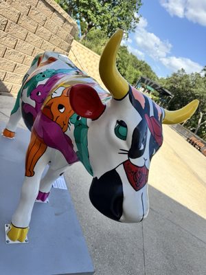 SeaWorld San Antonio by null