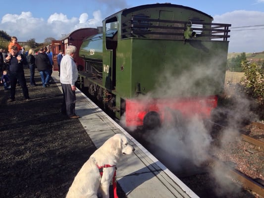 Bo'ness and Kinneil Railway by null
