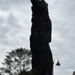 user provided Buddy Todd Park photo