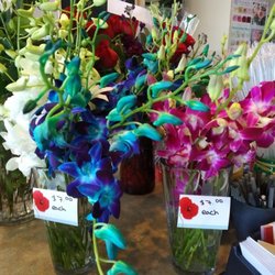 Quinn and Kim's Flowers