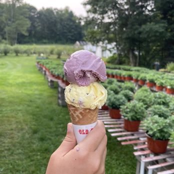 Bly Farm and Ice Cream - Black Raspberry and Lemon Chocolate Chip - Farmers Market Near Me - Wolfeboro, New Hampshire Bly Farm and Ice Cream - Black Raspberry and Lemon Chocolate Chip - Farmers Market Near Me - Wolfeboro, New Hampshire