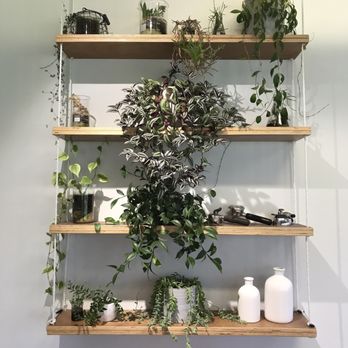 Geeks on Sainsbury - Awesome decor - Coffee & Tea Near Me - Sandringham, AUK