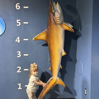 Newport Aquarium - Aquariums Near Me - Newport, Kentucky