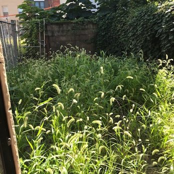Flat Rate Labor - Before - Landscaping Near Me - Philadelphia, Pennsylvania