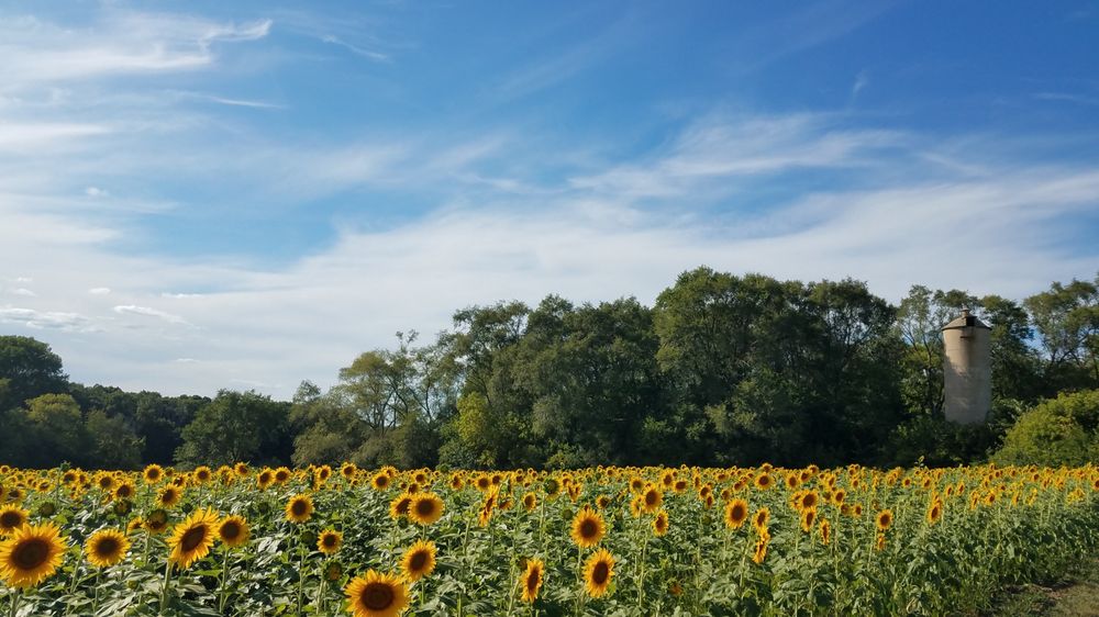 Augustine Apiary Acres - beekeeping in Orfordville, WI