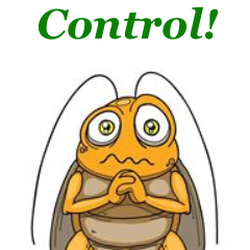 Bud's Pest Control