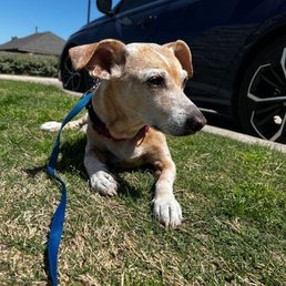 Post surgery  soaking up the sun