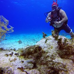 Underwater World Scuba Center