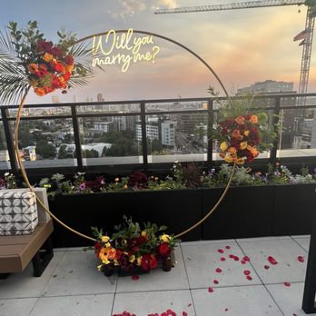 Sorry Gorgeous - Cocktail Bars Near Me - Denver, Colorado