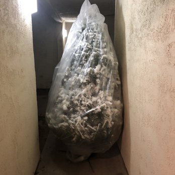Frosty's Forest - Contactless Delivery - Christmas Trees Near Me - Yorba Linda, California