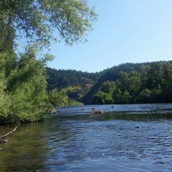 The Rookery - Rogue River