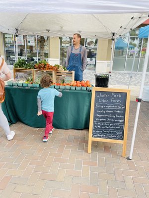 Maitland Farmer's Market by null