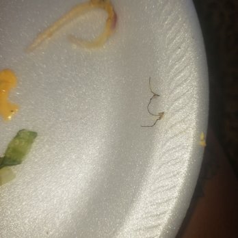 Checkers - This is the first piece hair i took off the burger - Fast Food Near Me - Plantation, Florida Checkers - This is the first piece hair i took off the burger - Fast Food Near Me - Plantation, Florida